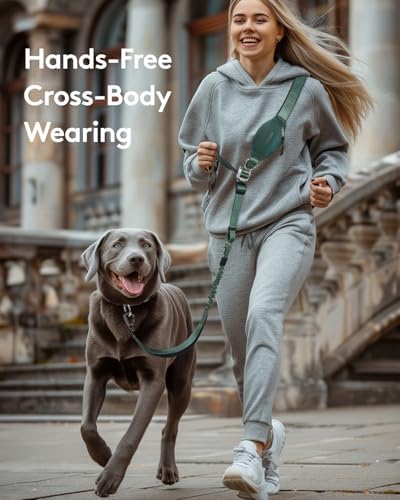 MIDOG Multifunctional Dog Leash Hands Free for Large Dogs - Adjustable Waist Leash with Zipper Pounch& Bungee Cord for Jogging/Running/Walking(4-7FT,Green) - Image 3