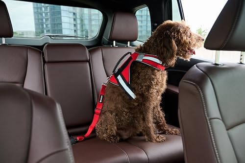 Support Pets Dog Seat Belt for Car – Adjustable Dog Safety Seatbelt Harness for Dogs & Puppies – Vehicle Seatbelt Clip for Secure Pet Travel – Durable Dog Accessories & Travel Restraint – Red 1 Pack - Image 3