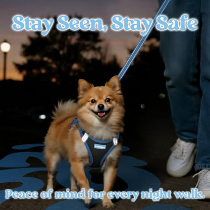 rabbitgoo Dog Harness Small Sized and Leash Set, Step in Soft Vest - Image 5