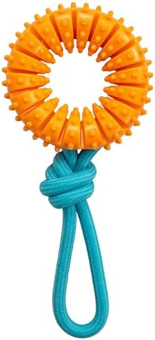 Dental Chew Wheel Durable Dog Toy, Tug & Chew, Mint Scent, 9.6" by Pupstages