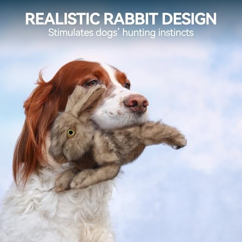 ALL FOR PAWS Brown Rabbit Pet Plush Toys, Dog Squeaker Toy, Large - Image 5