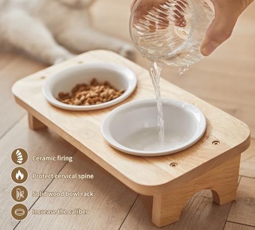 Elevated Cat Food Bowl, 3 Ceramic Raised Cat Basic Bowls with Stand, 15°Tilted Cat Bowl for Indoor Cats, Water Bowl Set,Dishwasher Safe(Small) - Image 3