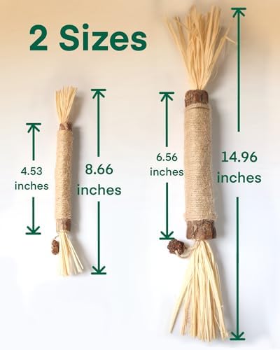 14.96 Inches Huge Silvervine Sticks Cat Toys, Large Natural Catnip Kittens Chew Toy for Teeth Cleaning,Big Catmint Blend Stick, Dental Kitty Chews for Indoor(2 Pack) - Image 2