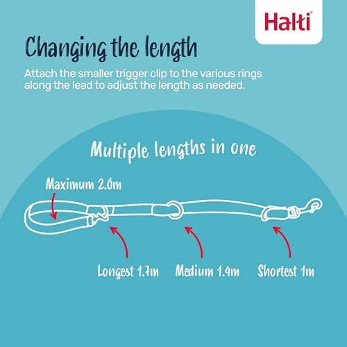 Halti Training Dog Leash | Size L, Cobalt Blue | 2m Length - Image 2