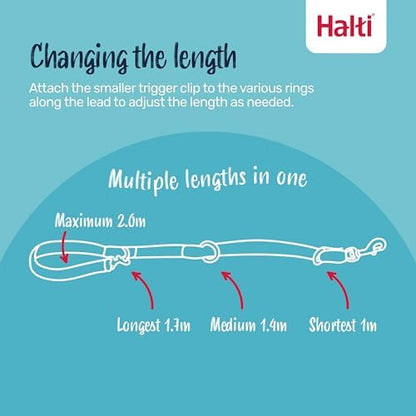Halti Training Dog Leash | Size L, Cobalt Blue | 2m Length - Image 2