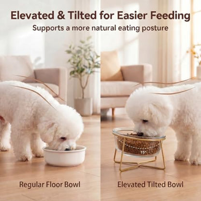 Large Glass Tilted Elevated Cat Dog Bowl Raised Cat Food Water Bowl Dish Pet Comfort Feeding Bowls with Gold Iron Stand - Image 4