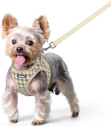 rabbitgoo Dog Harness Small Sized and Leash Set, Step-in Puppy Pet Vest by rabbitgoo