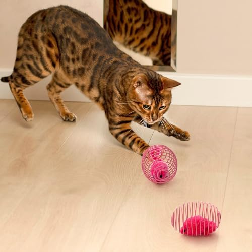 Jecery 5 Pcs Cat Toys Spring,Mouse,Pink - Image 4