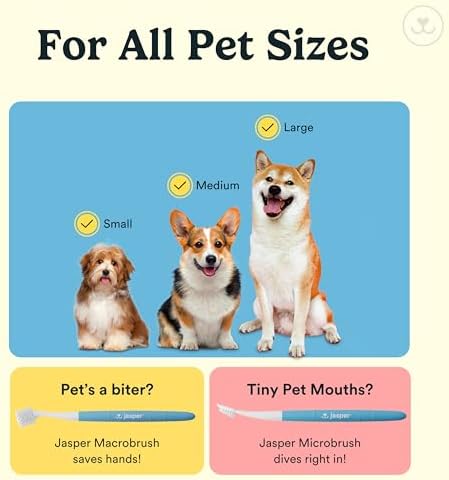 Jasper Dog Toothbrush, 360° Finger Toothbrush for Dogs & Cats, Neon 4-Pack - Image 5