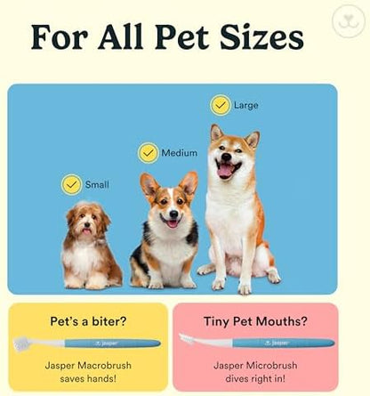 Jasper Dog Toothbrush, 360° Finger Toothbrush for Dogs & Cats, Neon 4-Pack - Image 5