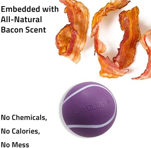 Playology Squeaky Chew Ball Dog Toy - Jumbo, Bacon Scent - Image 4