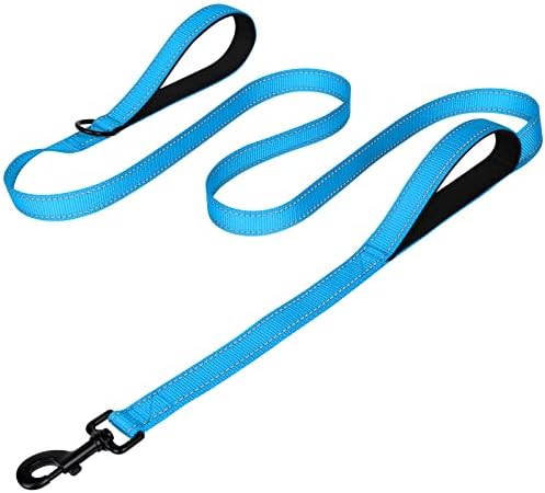 Joytale Dog Leash for Large Dogs that Pull, Double Handle, 6FT, Aqua Blue by Joytale