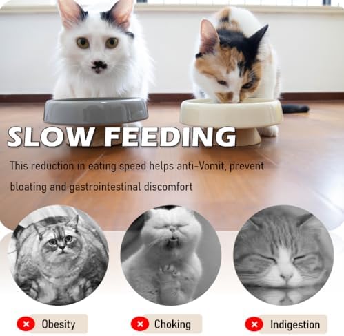 Ceramic Cat Slow Feeder, Raised Slow Feeder Cat Bowl, Anti Vomiting and Whisker Friendly Kitty Dish, Elevated Puppy Kitten Bowl for Dry and Wet Food (Gray) - Image 7