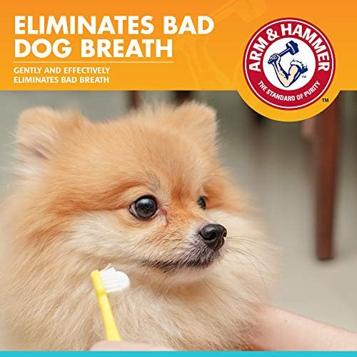 Arm & Hammer Fresh Breath Enzymatic Dog Toothpaste, Chicken Flavor, 2.5 Oz - Image 2