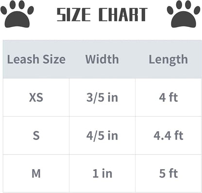 Lionet Paws Dog Leash - Off White Leash for Small Medium Large Dogs Matching Collar for Girl and Boy