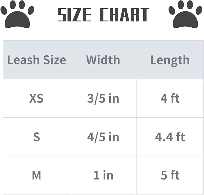 Lionet Paws Dog Leash - Off White Leash for Small Medium Large Dogs Matching Collar for Girl and Boy