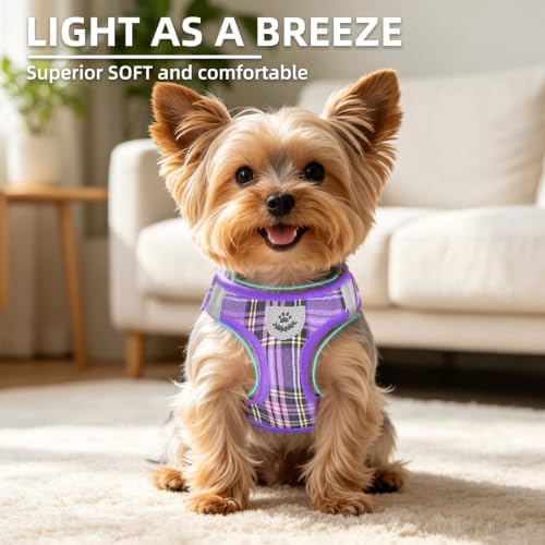 PUPTECK Dog Harness, Collar and Leash Set No Pull for Small Medium Sized - Image 3