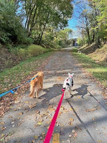 3 Handle Dog Leash 10FT Triple Handle Reflective Large Medium Dog - Image 5