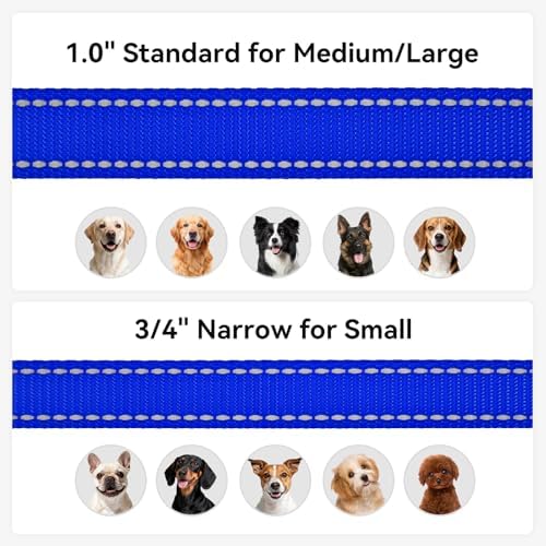 Joytale Reflective Dog Leash for Small Dogs, 5 FT x 3/4", Navy Blue - Image 6