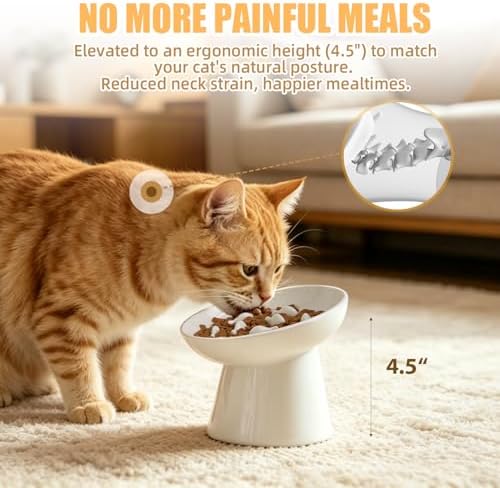 Ceramic Elevated Slow Feeder Cat Bowl - 6" Raised Cat Food Bowl for Bloat Relief & Anti-Vomiting, Whisker Friendly Ceramic Cat Slow Feeder for Indoor Cats, Kittens, Puppies - White(1pc) - Image 4