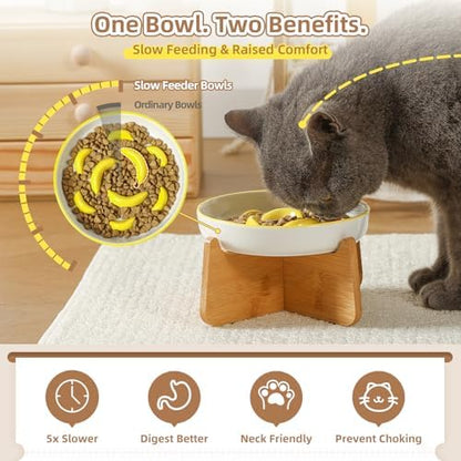 Ceramic Slow Feeder Cat Bowl, 6.3'' Wide Whisker Friendly Cat Puzzle Feeder - Image 3
