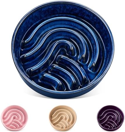 vancasso Slow Feeder Dog Bowl, 0.6 Cup Ceramic Slow Feeding Food Dish for Small Breed, Puzzle Dog Food Bowl for Fast Eater, Blue by vancasso