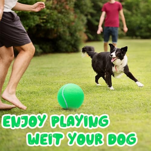 Banfeng Big Tennis Ball for Dogs, Giant Dog Tennis Ball Toy Large Outdoor Sports Gift for Small Medium Large Dog (Green, 9.5 inch) - Image 7
