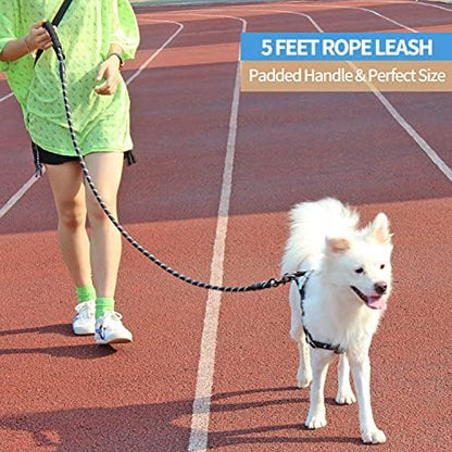 BAAPET 2/4/5/6 FT Dog Leash with Comfortable Padded Handle and Highly Reflective Threads for Small Medium and Large Dogs (5FT-1/2'', Grey) - Image 5