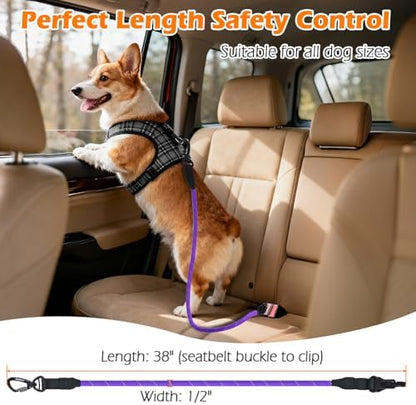 PetBonus Dog Seat Belt for Car, Durable Rope Dog Car Harness for Vehicle - Image 4