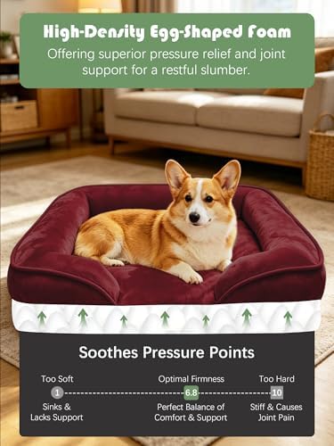Spotted Play Orthopedic Dog Bed with Sides - Sofa Beds for Medium Dogs, Supportive Foam Pet Couch Bed with Washable Removable Cover, Waterproof Lining and Non-Slip Bottom, Burgundy - M - Image 4