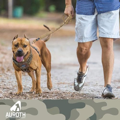AUROTH Bungee Dog Leash for Large Dogs, No Pull for Shock Absorption - Image 6