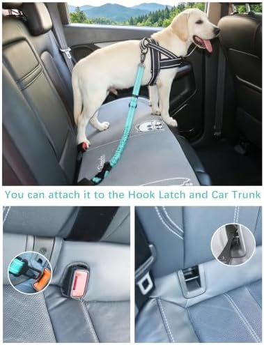 AUBELL Dog Seat Belt for Car,Updated 3-in-1 Bungee Dog Car Harness,Teal - Image 2