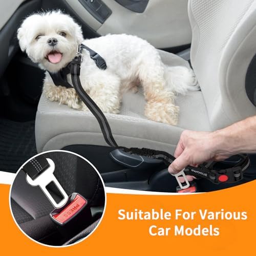 BWOGUE 2 Pack Dog Seat Belt for Car, Elastic Bungee Buffer Safety Leads - Image 5
