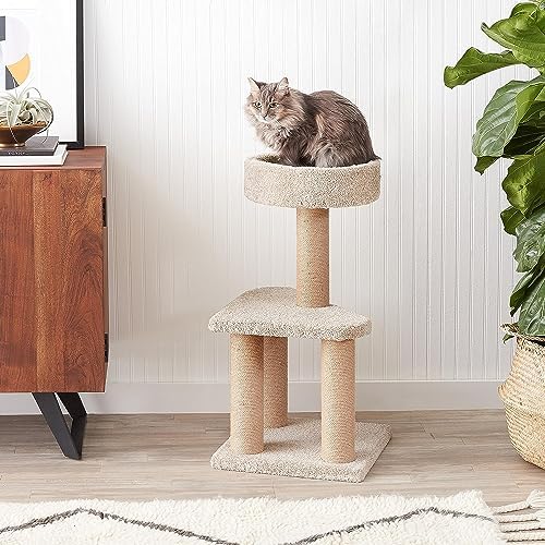 Amazon Basics Cat Tree - Multi-Level Climbing Activity Tower with Jute Rope Scratching Posts for Indoor Cats & Kittens, Medium (31.5"H), Beige - Image 3