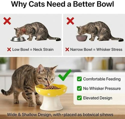 Elevated Ceramic Cat Bowls Set of 2, Mushroom Raised Wide & Shallow Cat Food and Water Bowls, Whisker Friendly Feeding Bowls for Cats & Small Dogs (Red+Yellow) - Image 4