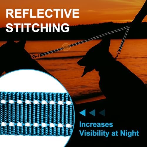 MingXpet Double Dog Leash for Two Dogs, No Pull Dog Leash, 360° Swivel No Tangle for Small Dogs Walking & Training, Shock Absorbing Reflective Bungee, Blue - Image 5