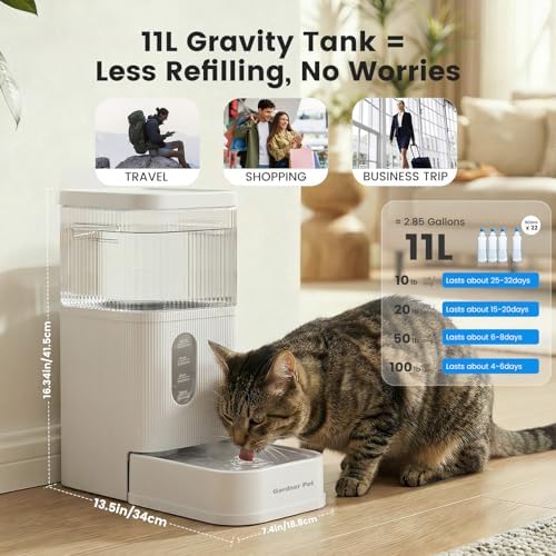 2.9 Gallon Automatic Dog Water Dispenser with Stainless Steel Bowl - Image 2