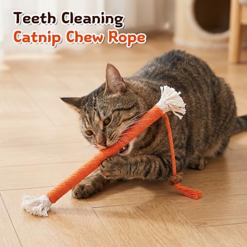 Jeffdad 6 Pcs Cat Toys Chew Ropes, Interactive Kitten Teething Toys - Image 4