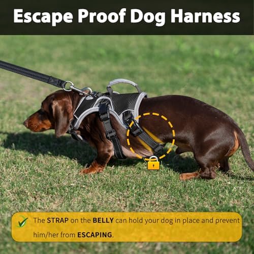 Huntboo Escape Proof Dog Harness, Dachshund Harness, Reflective Dog Harness with Handle, Durable,Adjustable Vest for Small Medium Large Dogs Walking, Training, and Running Gear (Black,XL) - Image 2