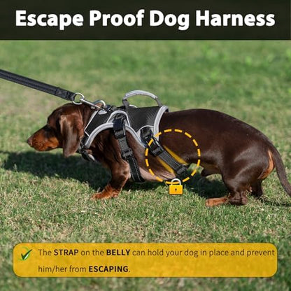 Huntboo Escape Proof Dog Harness, Dachshund Harness, Reflective Dog Harness with Handle, Durable,Adjustable Vest for Small Medium Large Dogs Walking, Training, and Running Gear (Black,XL) - Image 2