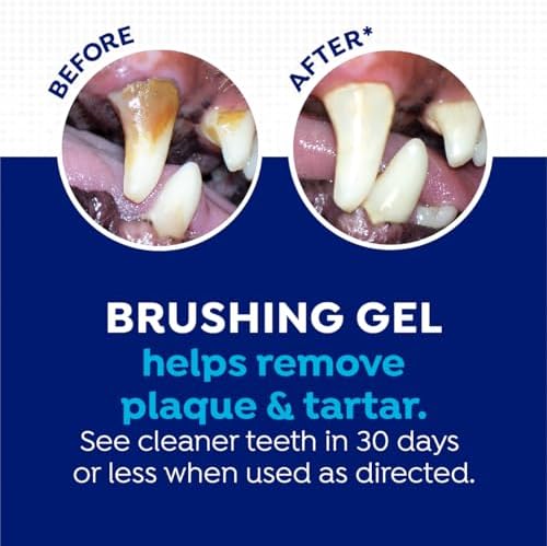 Naturel Promise Fresh Dental Toothbrush and Toothpaste Kit for Dogs, Teeth Cleaning Kit for Plaque & Tartar Removal, Contains Finger Toothbrush, Breath Freshener, Dog Dental Care - Image 5