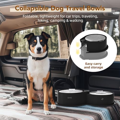 Newget 304 Stainless Steel Dog Bowl Set with Lids, 24oz Foldable Pet Dishes - Image 5