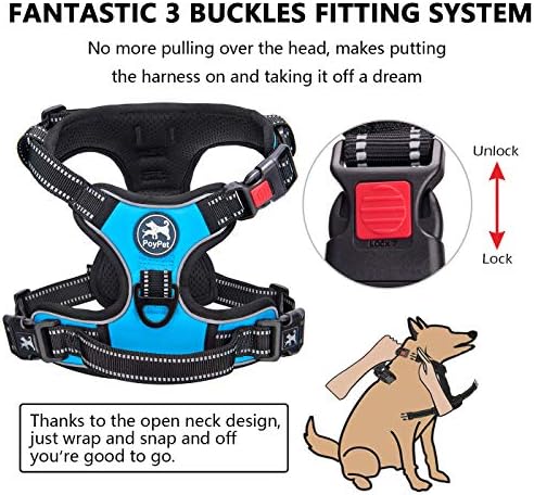 PoyPet No Pull Dog Harness Large with Front Clip & Neck Release Buckle - Image 2