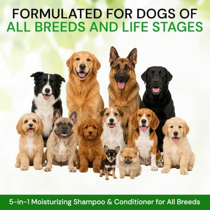 All Stages Dog Grooming Natural Dog Shampoo and Conditioner with Aloe Vera, pH balanced Shampoo for Dogs, Tear-Free, Moisturizing Dog Shampoo for Sensitive Skin - 26.4 Oz - Image 5