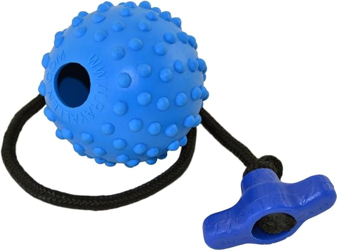 Ray Allen Ball On Rope Toy - Professional Quality Dog Training (Blue w/T-Handle, 2.5")