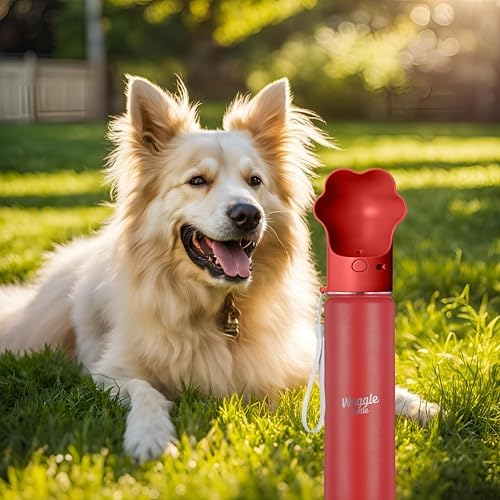 Stainless Steel Dog Travel Water Bottle, Vacuum Insulated Portable Dog Water Dispenser, Drink Cup and Snack Container On The Go, Outdoor Walking, Hiking, Travel (Red, 22oz) - Image 4