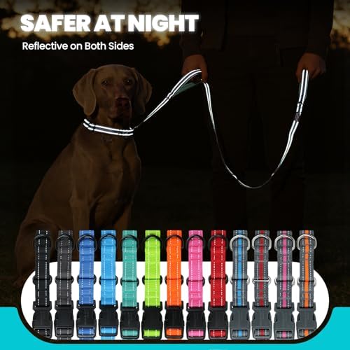 VIVAGLORY Double Handle Dog Leash Twingrip, 5ft x 1in, M2, Grey - Image 5