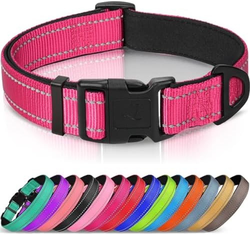 Joytale Reflective Dog Collar, Adjustable Neoprene Padded, Hotpink XS by Joytale