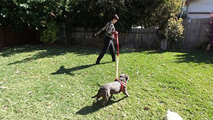 Primal Pet Gear Dog Leash 8ft Long - RED - Traffic Padded Two Handle - Heavy Duty - Double Handles Lead for Control Safety Training - Leashes for Large Dogs or Medium Dogs - Dual Handles Leads - Image 4