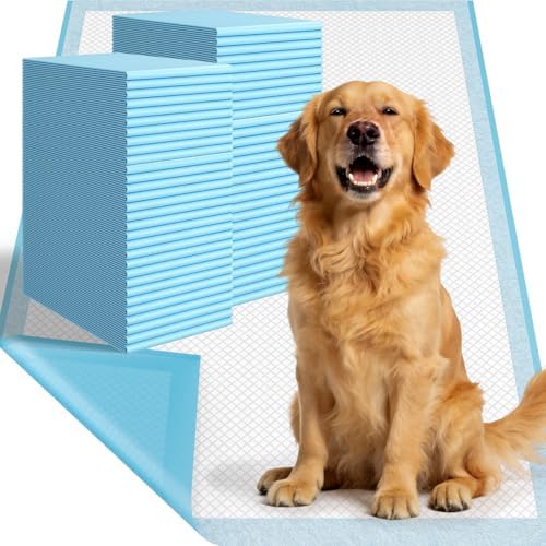 Large Puppy Pee Pads for Dogs 31" x 36" 60 Count, 6-Layer Leak-Proof XXL Dog Pee Pads Extra Large, Super Absorbent Quick-Dry Thick Disposable Potty Training Pads by DSBATH